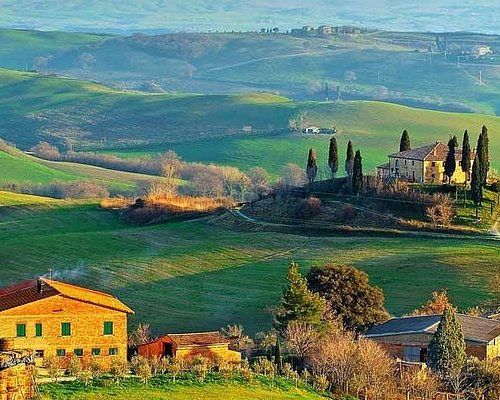 A view of a rolling Tuscan vineyard in Italy.